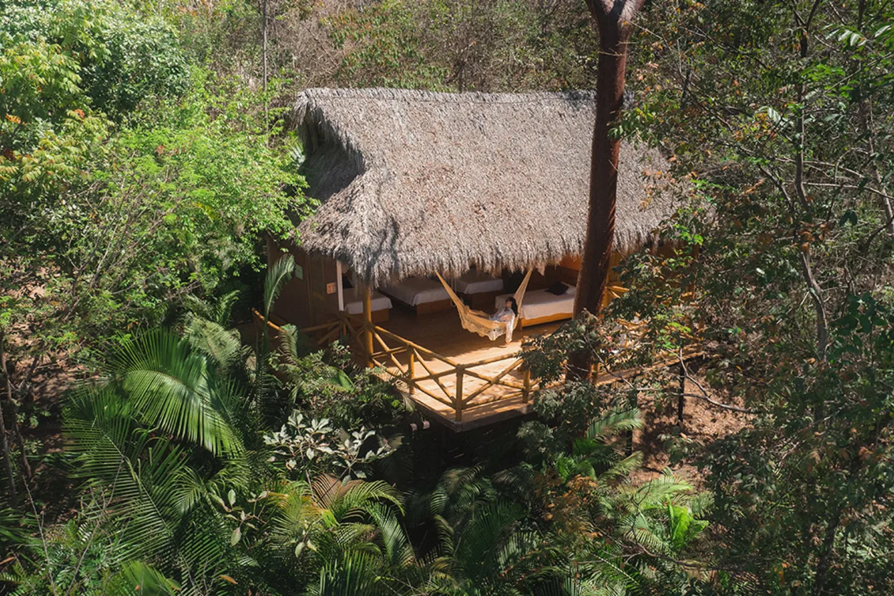 Eco therapy at Xinalani Retreat in Mexico